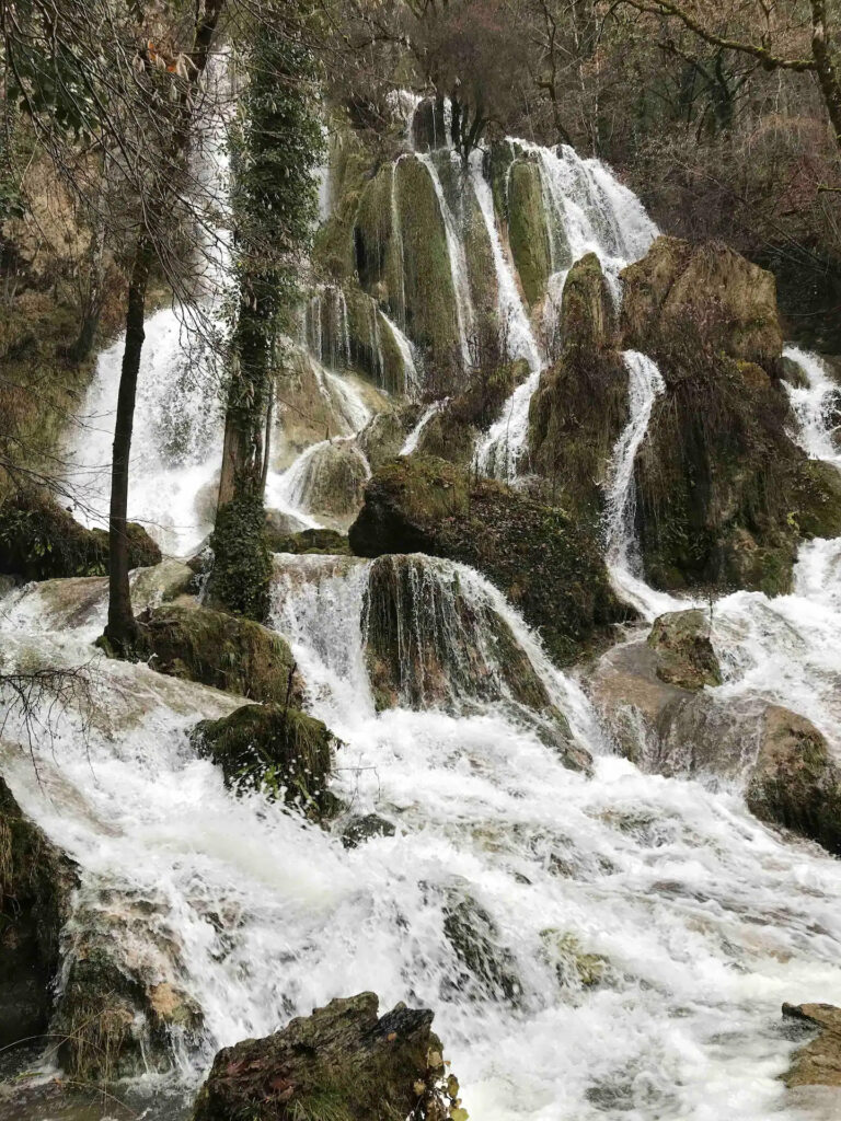 555fae47-beba-4230-b799-9b34393dad02