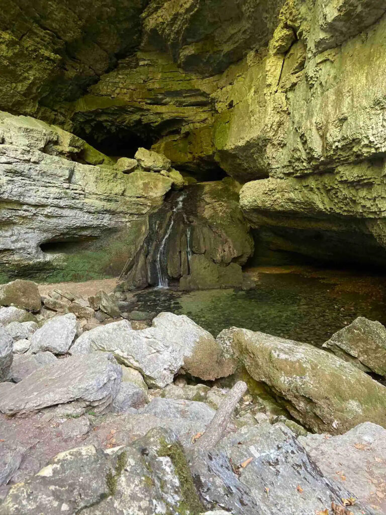 a20fd1b5-7f57-4131-b309-74cf8c19302e